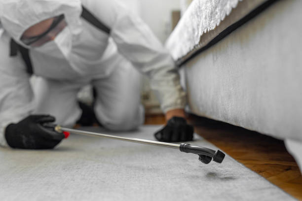 Professional Bed Bug Control technician working in Jarrettsville, MD